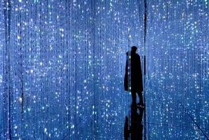 Tóquio: tour guiado pelo teamLab Planets e pelo mercado de peixe de Toyosu