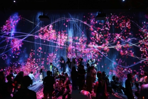 Tóquio: tour guiado pelo teamLab Planets e pelo mercado de peixe de Toyosu