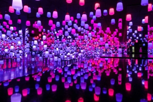 Tóquio: tour guiado pelo teamLab Planets e pelo mercado de peixe de Toyosu