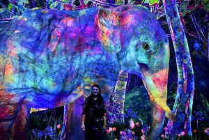 Tóquio: tour guiado pelo teamLab Planets e pelo mercado de peixe de Toyosu