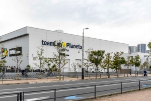 Tóquio: tour guiado pelo teamLab Planets e pelo mercado de peixe de Toyosu