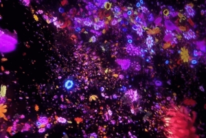 Tóquio: tour guiado pelo teamLab Planets e pelo mercado de peixe de Toyosu