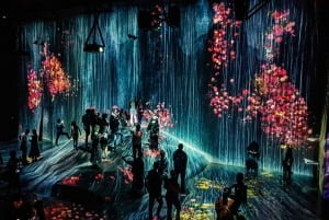 Tóquio: tour guiado pelo teamLab Planets e pelo mercado de peixe de Toyosu
