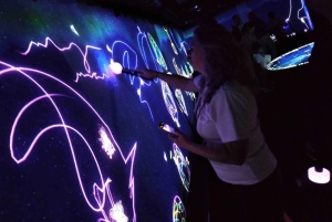 Tóquio: tour guiado pelo teamLab Planets e pelo mercado de peixe de Toyosu