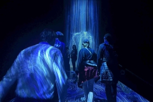 Tóquio: tour guiado pelo teamLab Planets e pelo mercado de peixe de Toyosu