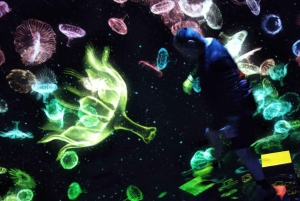 Tóquio: tour guiado pelo teamLab Planets e pelo mercado de peixe de Toyosu