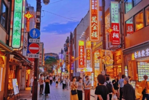 Serviço de traslado particular de Tóquio para/de Yokohama.