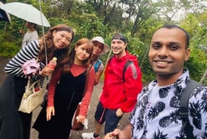 Tokyo: Kamakura & Enoshima Day Tour with Pickup & Train Ride