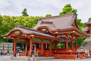 Tokyo: Kamakura & Enoshima Day Tour with Pickup & Train Ride
