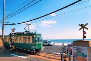 Tokyo: Kamakura & Enoshima Day Tour with Pickup & Train Ride