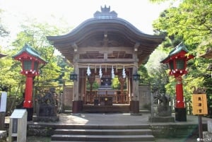 Tokyo: Kamakura & Enoshima Day Tour with Pickup & Train Ride