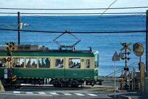 Tokyo: Kamakura & Enoshima Day Tour with Pickup & Train Ride
