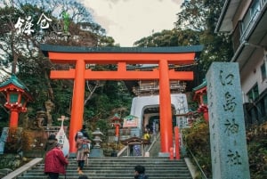 Tokyo: Kamakura & Enoshima Day Tour with Pickup & Train Ride