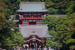 Tokyo: Kamakura & Enoshima Day Tour with Pickup & Train Ride