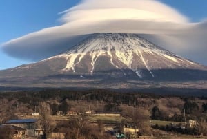 Escursione di un giorno da Tokyo al Monte FUJI con guida in inglese