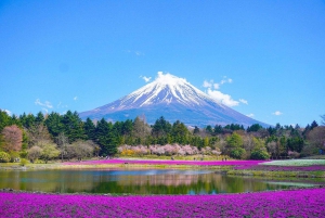 Escursione di un giorno da Tokyo al Monte FUJI con guida in inglese