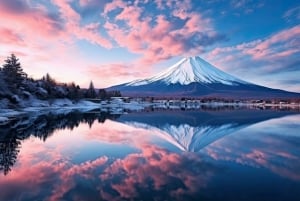 Escursione di un giorno da Tokyo al Monte FUJI con guida in inglese