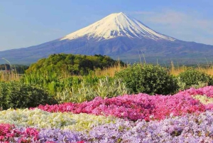 Escursione di un giorno da Tokyo al Monte FUJI con guida in inglese