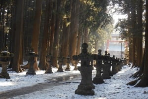 Escursione di un giorno da Tokyo al Monte FUJI con guida in inglese
