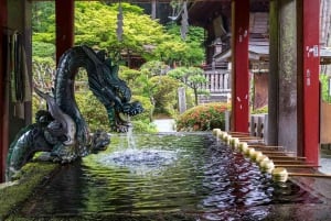 Escursione di un giorno da Tokyo al Monte FUJI con guida in inglese