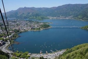 Escursione di un giorno da Tokyo al Monte FUJI con guida in inglese
