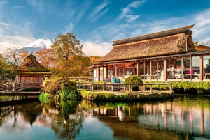 東京から富士山への日帰り旅行 英語ガイド付き