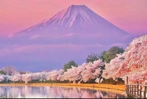 Tokio: prywatna wycieczka na górę Fuji i do Hakone z angielskojęzycznym kierowcą