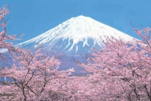 Tokyo to Mt. Fuji area/Kawaguchiko transfer service