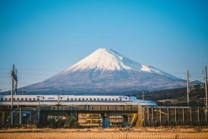 Tokyo to Mt. Fuji area/Kawaguchiko transfer service