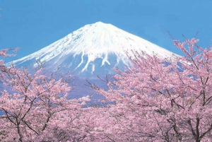 Usługa transferu z Tokio do obszaru Mt. Fuji/Kawaguchiko