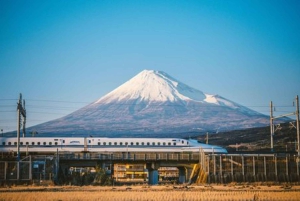 Usługa transferu z Tokio do obszaru Mt. Fuji/Kawaguchiko
