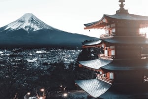 Tóquio ao Monte Fuji e Hakone: viagem privada personalizável de 1 dia