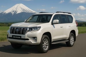 Tóquio ao Monte Fuji e Hakone: viagem privada personalizável de 1 dia