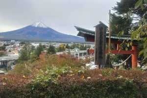 « De Tokyo au mont Fuji et Hakone : excursion privée personnalisable d'une journée »