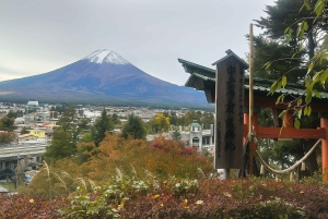 « De Tokyo au mont Fuji et Hakone : excursion privée personnalisable d'une journée »