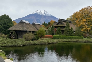 « De Tokyo au mont Fuji et Hakone : excursion privée personnalisable d'une journée »