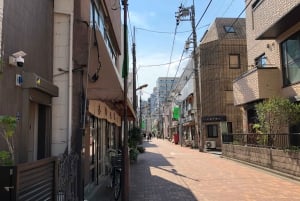 Tokyo: Tofu-lagingskurs med shoppingtur i bydelen