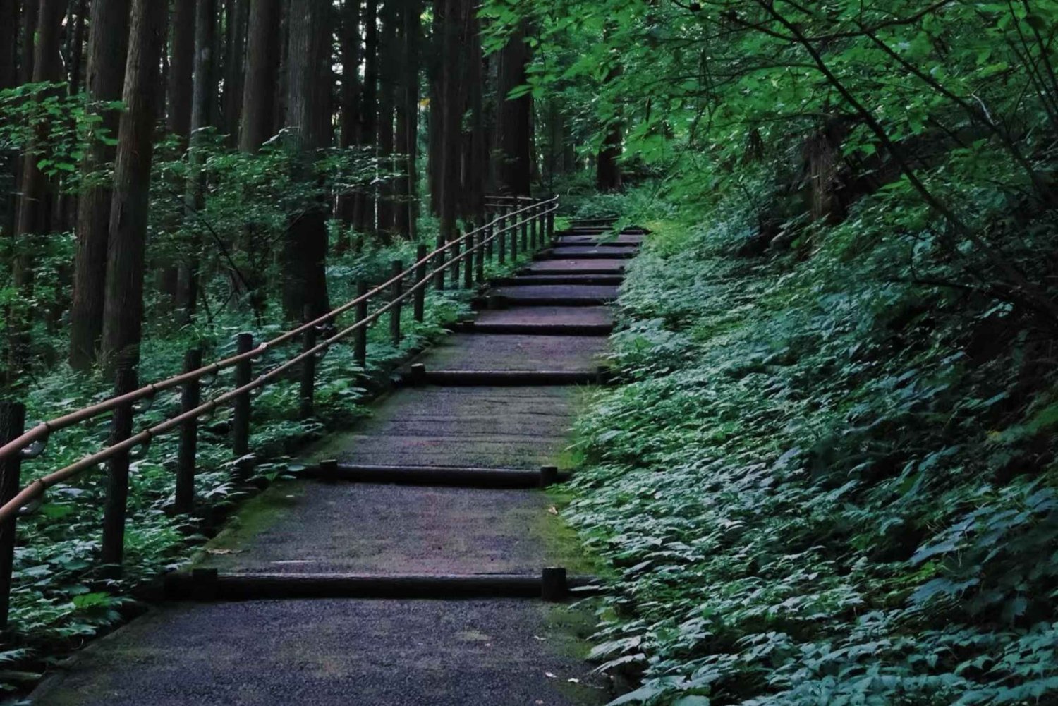 Tokio: excursión de un día por el sendero sagrado de Togakushi con Shinkansen