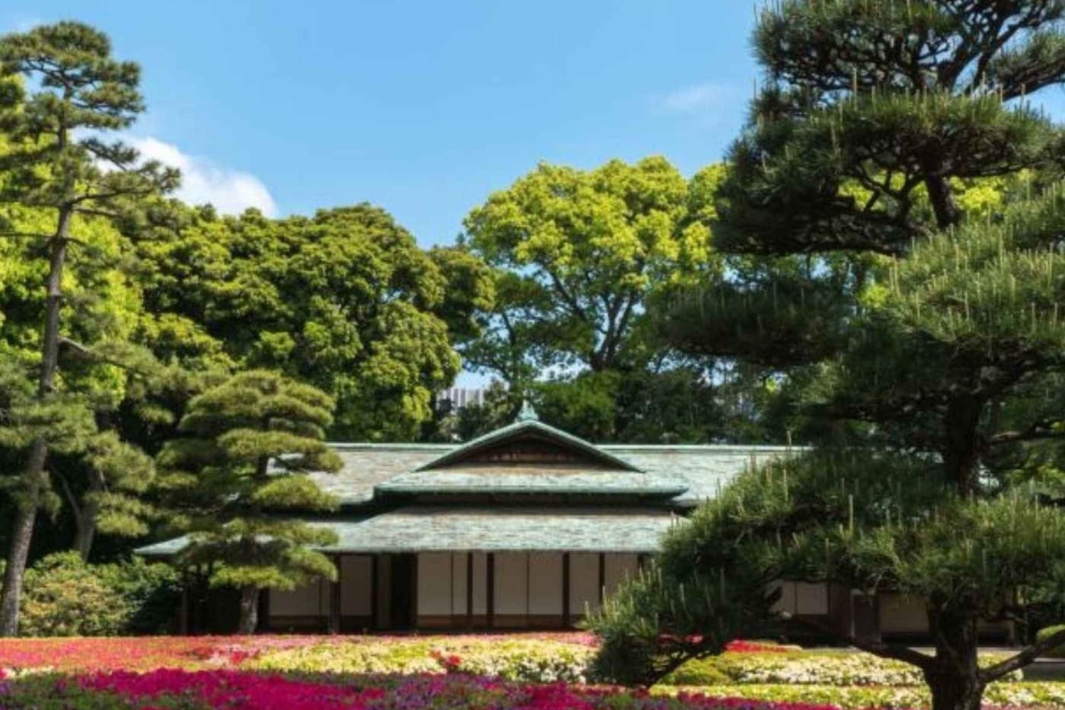 Tokio: tour privado por la ciudad con conductor de habla inglesa