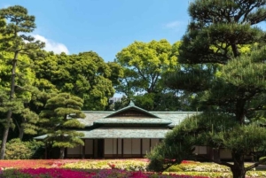 Tokio: tour privado por la ciudad con conductor de habla inglesa