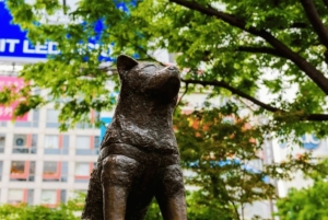 Tokio: tour privado por la ciudad con conductor de habla inglesa