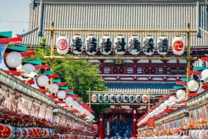 Tokio: tour privado por la ciudad con conductor de habla inglesa