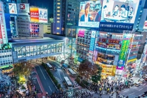 Tokio: tour privado por la ciudad con conductor de habla inglesa