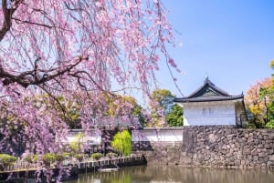 Tokyo: Private Tour of the Imperial Palace East Gardens