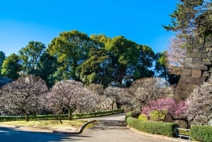 Tokyo: Private Tour of the Imperial Palace East Gardens