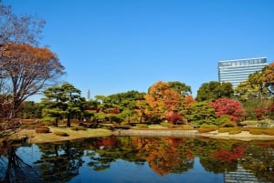 Tokyo: Private Tour of the Imperial Palace East Gardens