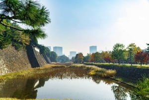 Tokyo: Private Tour of the Imperial Palace East Gardens