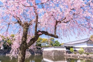 Tokyo: Private Tour of the Imperial Palace East Gardens