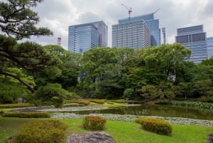 Tokyo: Private Tour of the Imperial Palace East Gardens