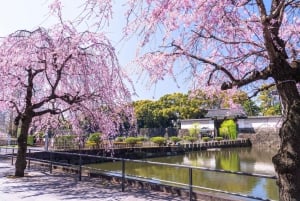 Tokyo: Private Tour of the Imperial Palace East Gardens